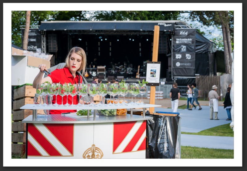 Caribana festival 2013 musique