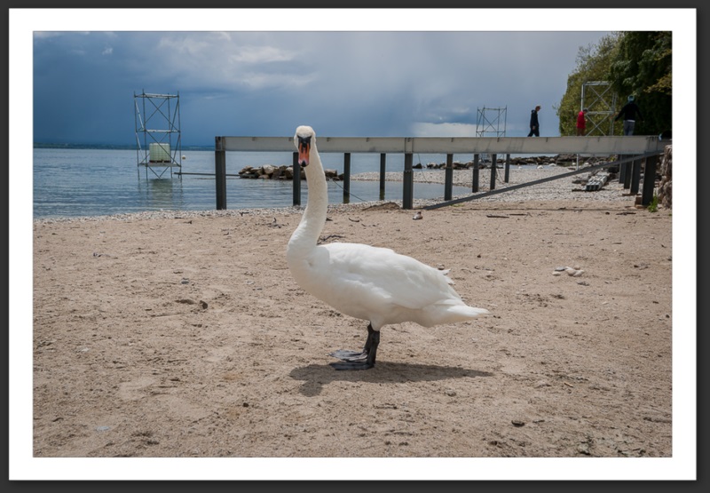Festi'neuch ambiance portraits lac soleil pluie météo