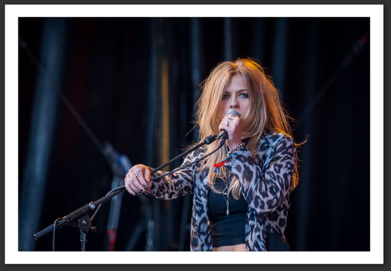 The Animen Caribana festival 2013 musique