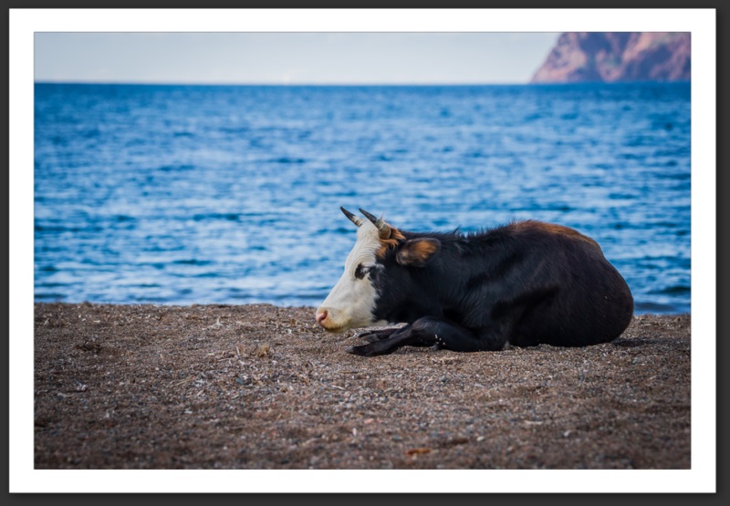 Galeria Girlotta Corse Bastia Centuri Cap Corse Calvi Porto Îles Sanguinaires Myrte Vin Mer Méditerrannée