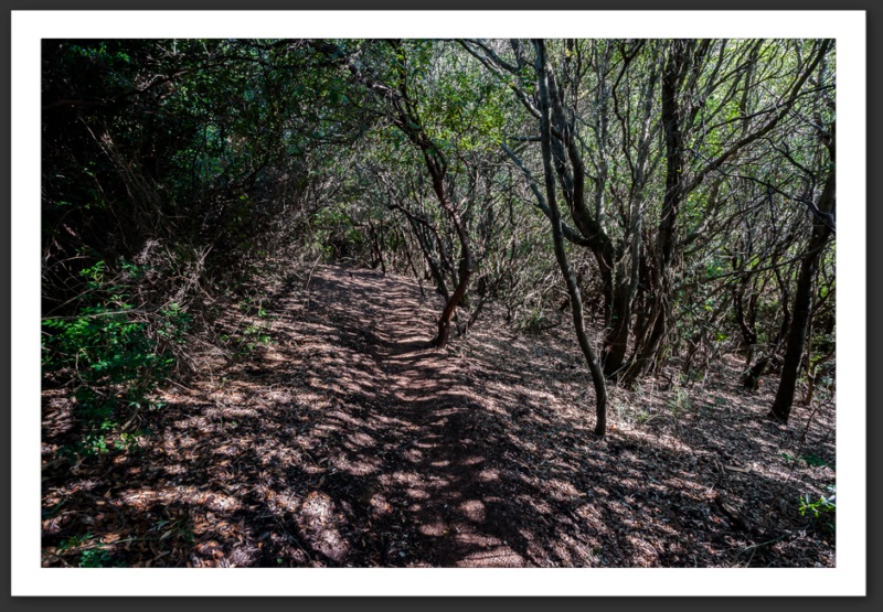 Galeria Girlotta Corse Bastia Centuri Cap Corse Calvi Porto Îles Sanguinaires Myrte Vin Mer Méditerrannée