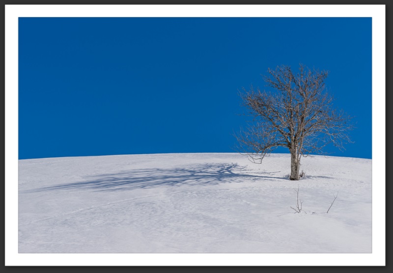 Combe Biosse Parc Chasseral randonnée raquette Suisse
