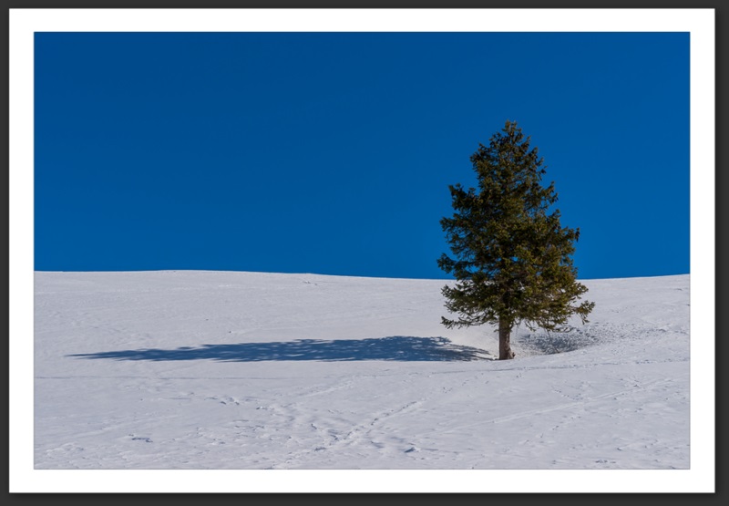 Combe Biosse Parc Chasseral randonnée raquette Suisse