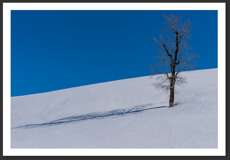 Combe Biosse Parc Chasseral randonnée raquette Suisse