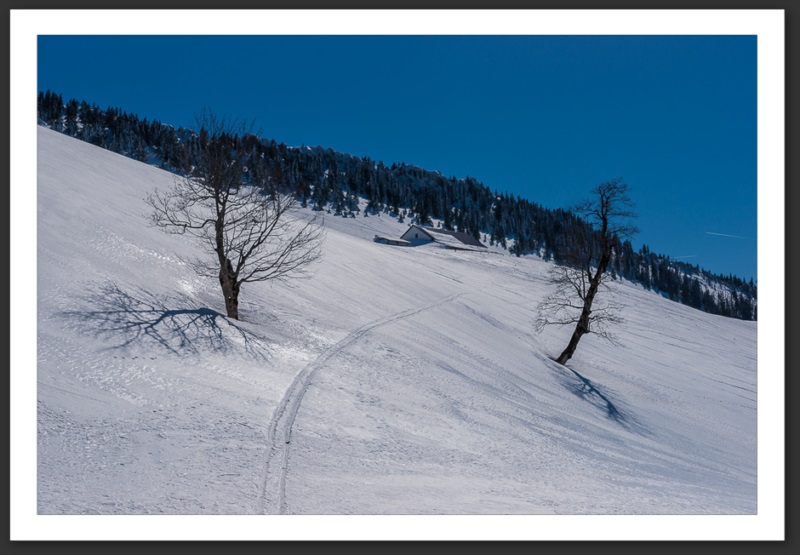 Combe Biosse Parc Chasseral randonnée raquette Suisse