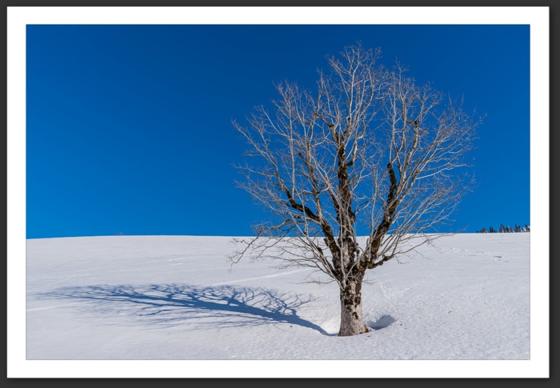 Combe Biosse Parc Chasseral randonnée raquette Suisse