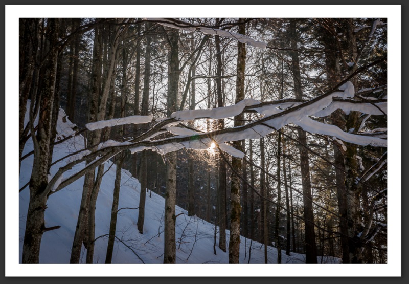 Combe Biosse Parc Chasseral randonnée raquette Suisse