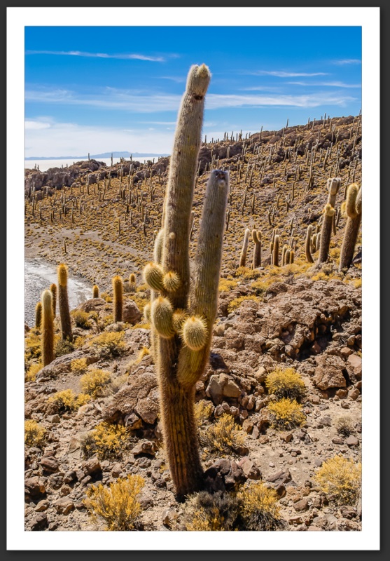 Bolivie Salar Uyuni 