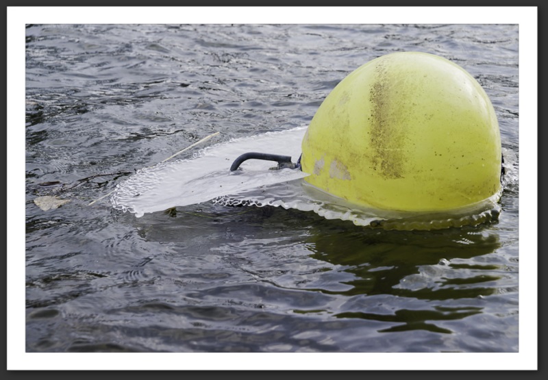 Hiver polaire Yverdon