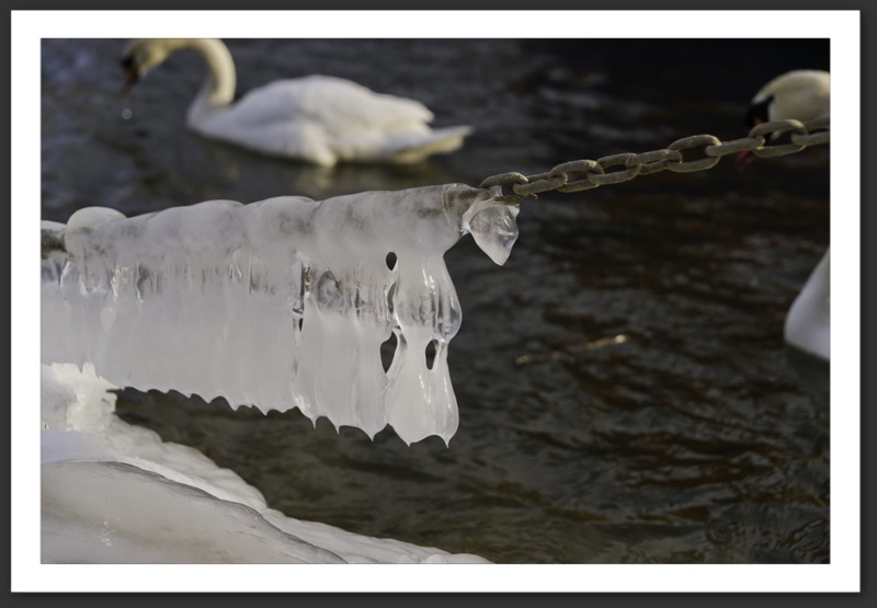 Hiver polaire Yverdon