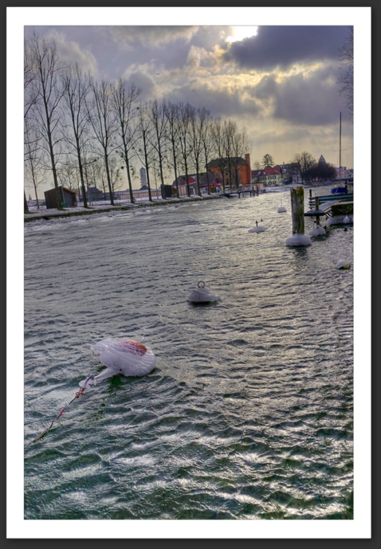 Hiver polaire Yverdon