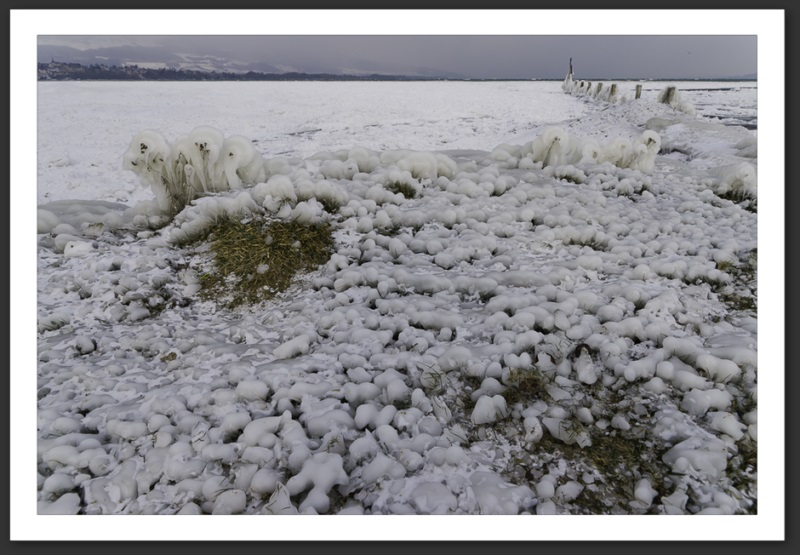 Hiver polaire Yverdon