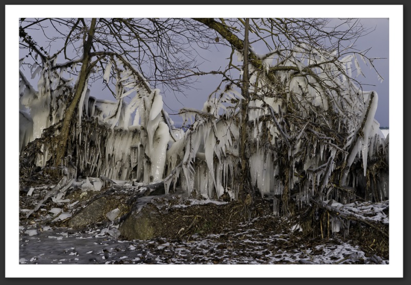 Hiver polaire Yverdon