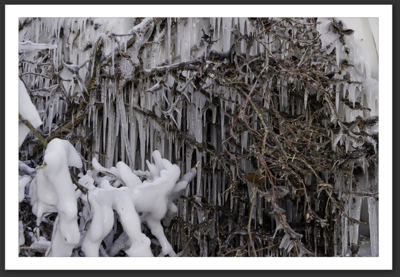Hiver polaire Yverdon