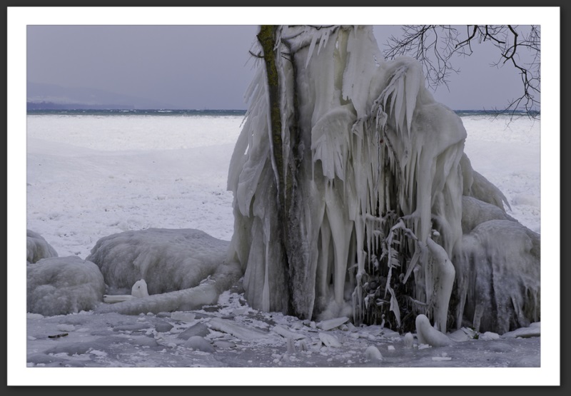 Hiver polaire Yverdon