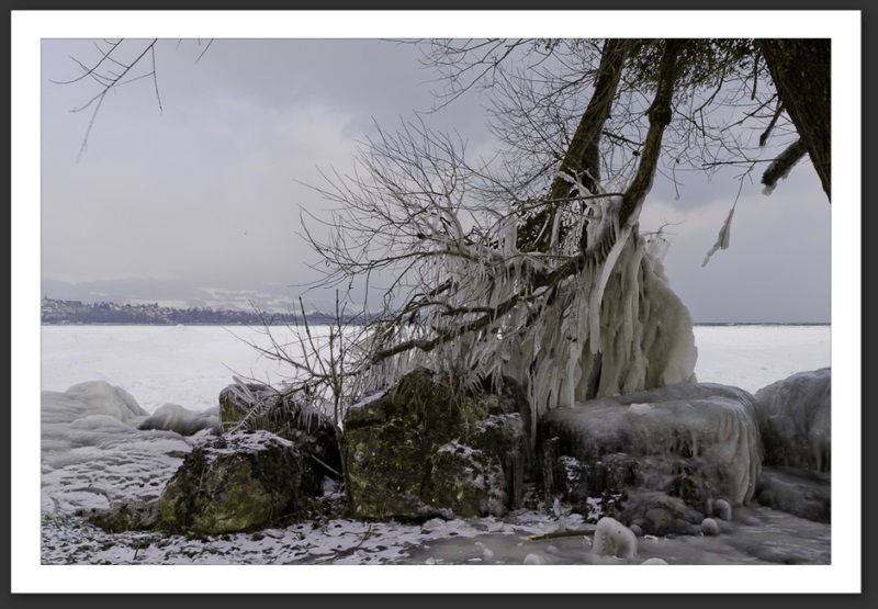 Hiver polaire Yverdon