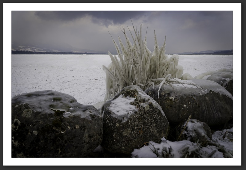 Hiver polaire Yverdon