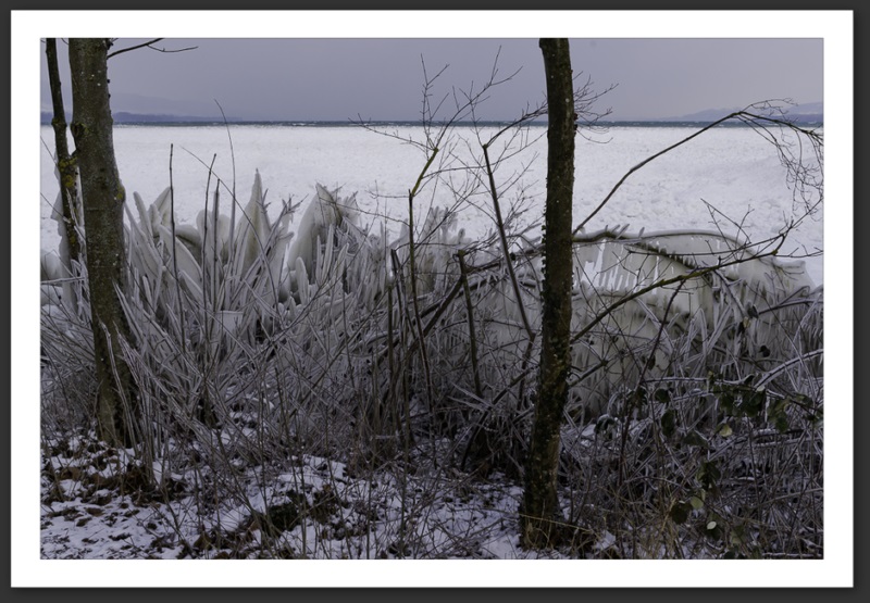 Hiver polaire Yverdon