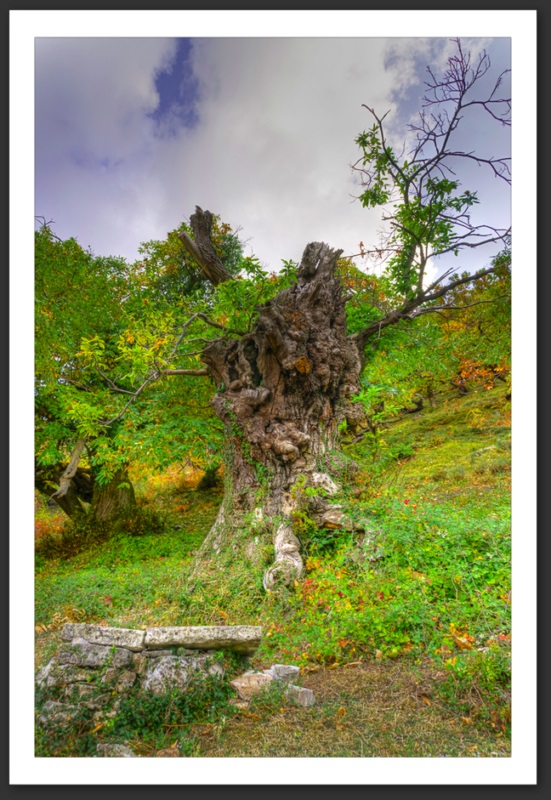 Kotor Montenegro HDR