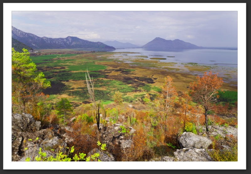 Lac de Skadar Montenegro