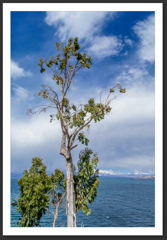 La Isla del Sol Lago Titicaca Bolivie Andes Paysages