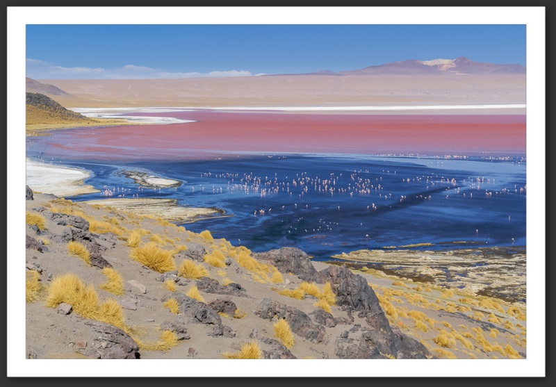 Bolivie Laguna Colorada Lagunes Laguna Verde Licancanbur