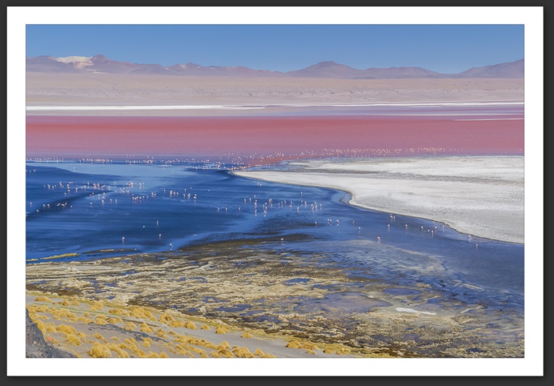 Bolivie Laguna Colorada Lagunes Laguna Verde Licancanbur