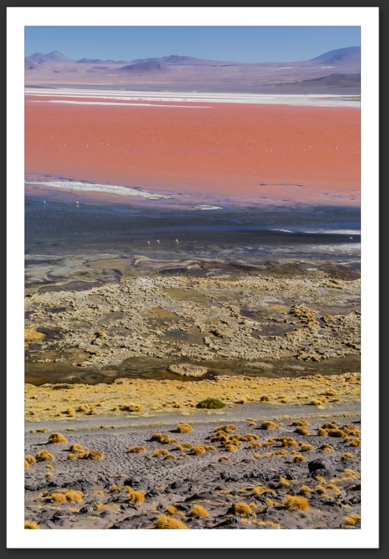 Bolivie Laguna Colorada Lagunes Laguna Verde Licancanbur