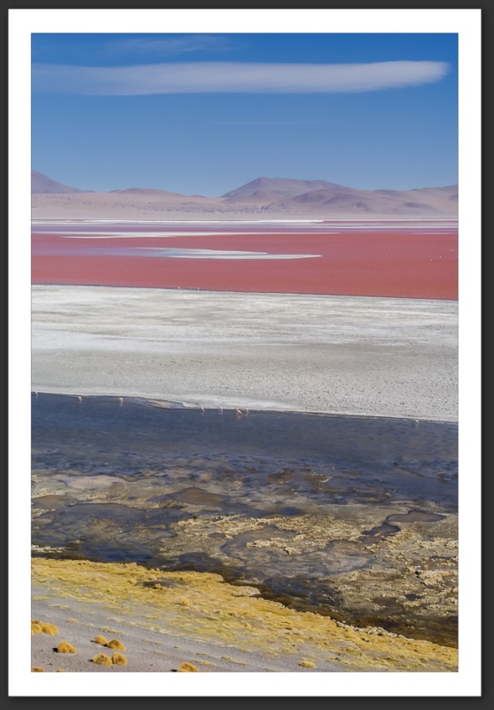 Bolivie Laguna Colorada Lagunes Laguna Verde Licancanbur