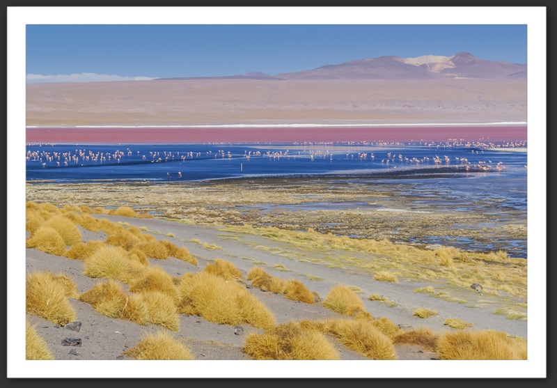 Bolivie Laguna Colorada Lagunes Laguna Verde Licancanbur
