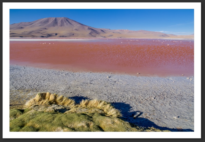 Bolivie Laguna Colorada Lagunes Laguna Verde Licancanbur