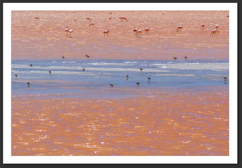 Bolivie Laguna Colorada Lagunes Laguna Verde Licancanbur