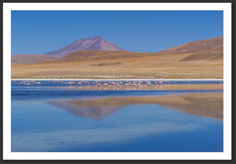 Bolivie Lagunes Laguna Verde Licancanbur Laguna Colorada
