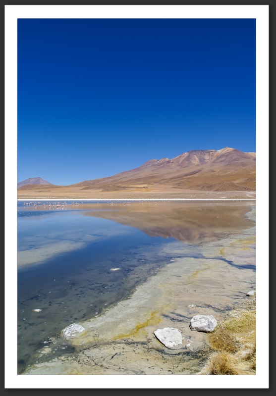 Bolivie Lagunes Laguna Verde Licancanbur Laguna Colorada