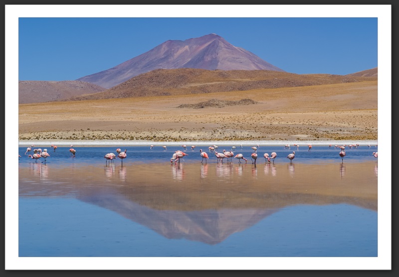 Bolivie Lagunes Laguna Verde Licancanbur Laguna Colorada
