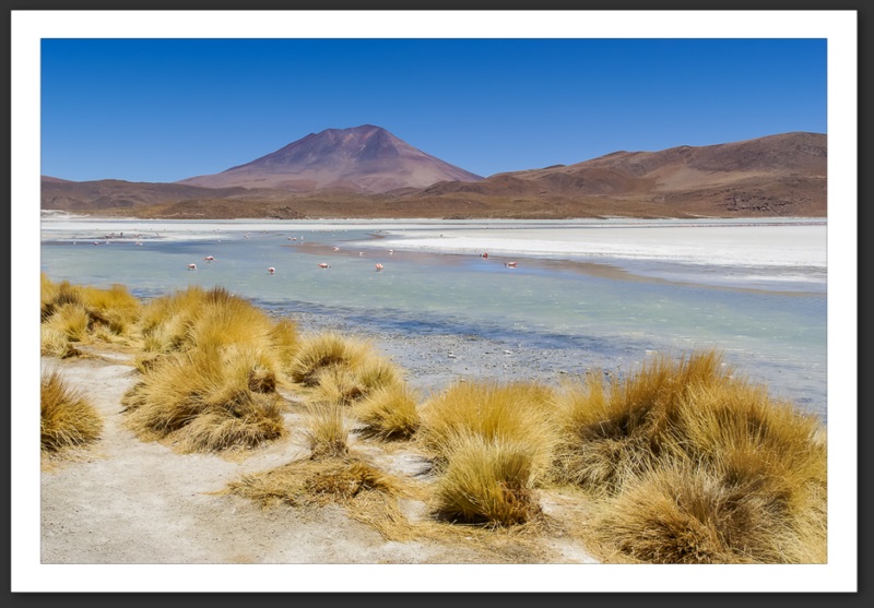 Bolivie Lagunes Laguna Verde Licancanbur Laguna Colorada