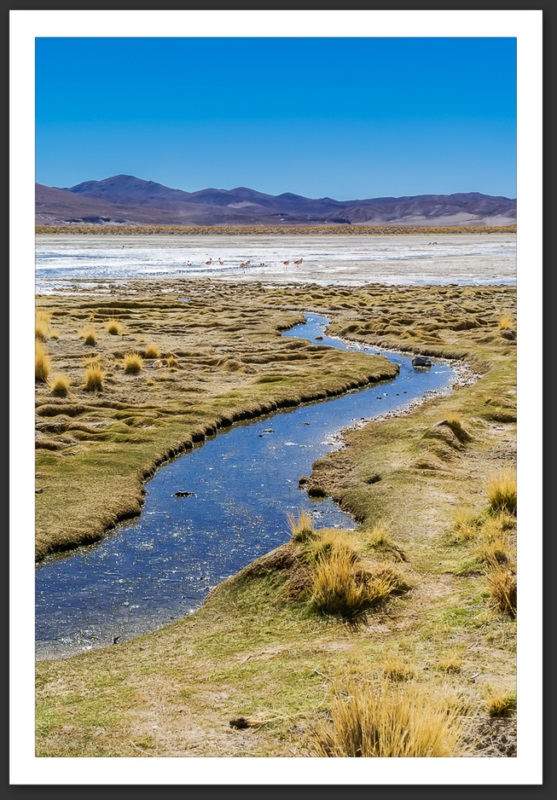 Bolivie Lagunes Laguna Verde Licancanbur Laguna Colorada