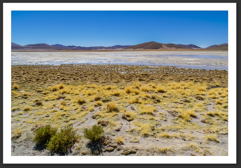 Bolivie Lagunes Laguna Verde Licancanbur Laguna Colorada