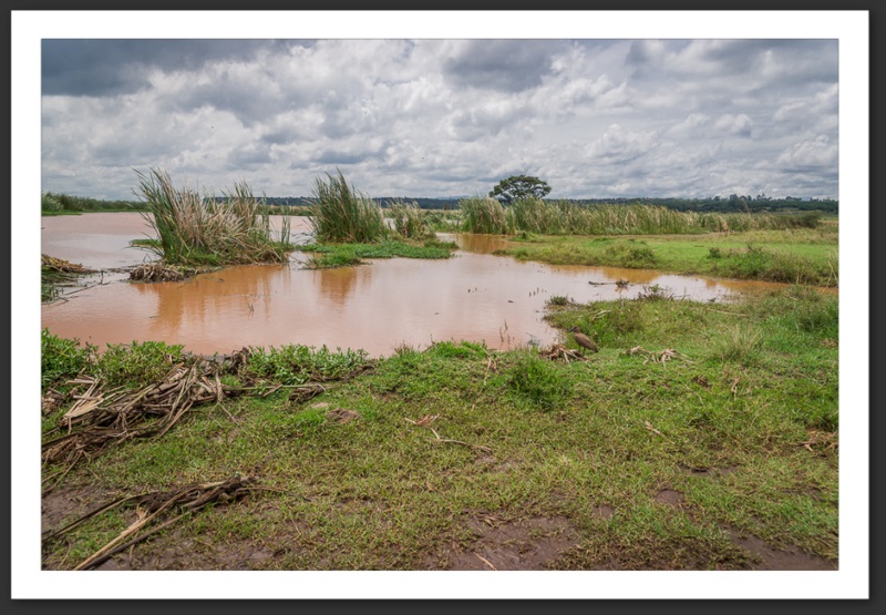 Nairobi National Park Kenya