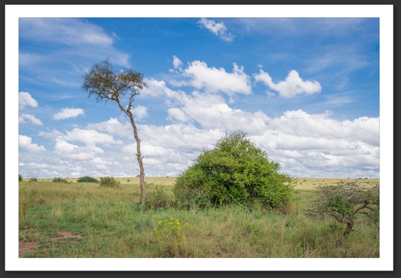 Nairobi National Park Kenya