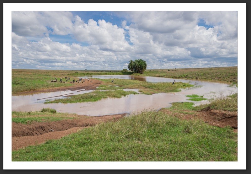 Nairobi National Park Kenya
