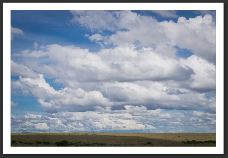 Nairobi National Park Kenya