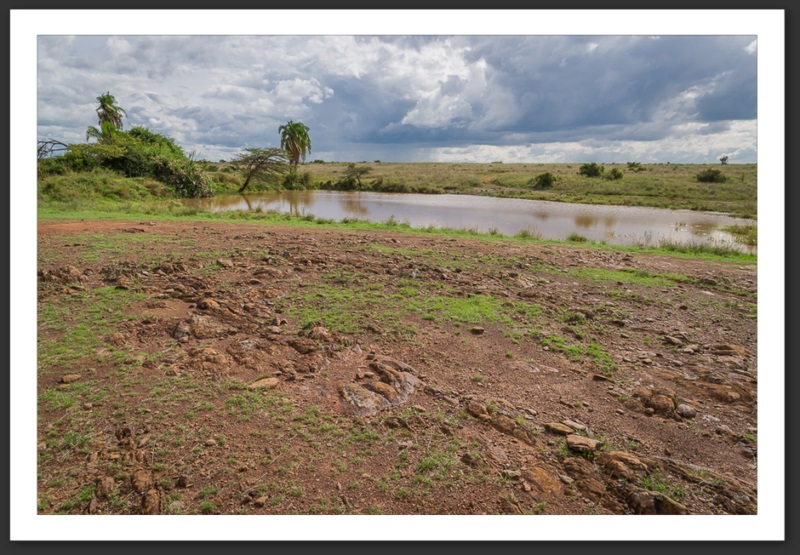 Nairobi National Park Kenya