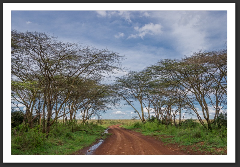 Nairobi National Park Kenya