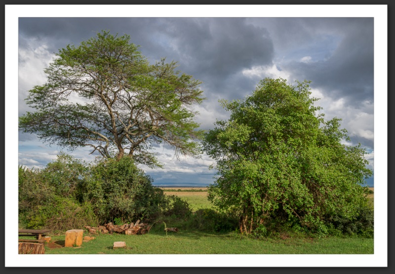 Nairobi National Park Kenya