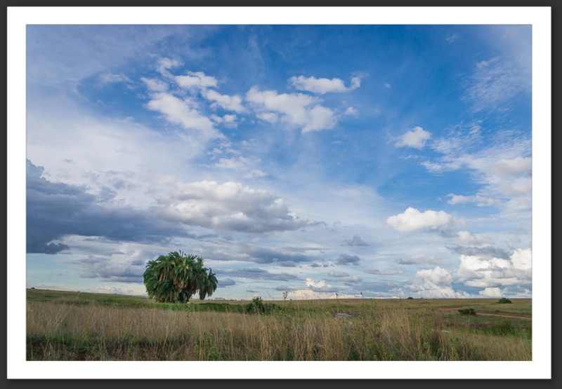 Nairobi National Park Kenya