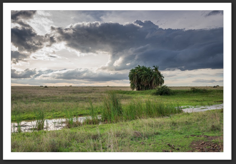 Nairobi National Park Kenya