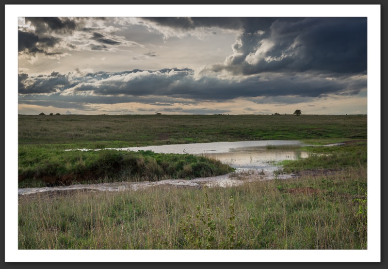 Nairobi National Park Kenya