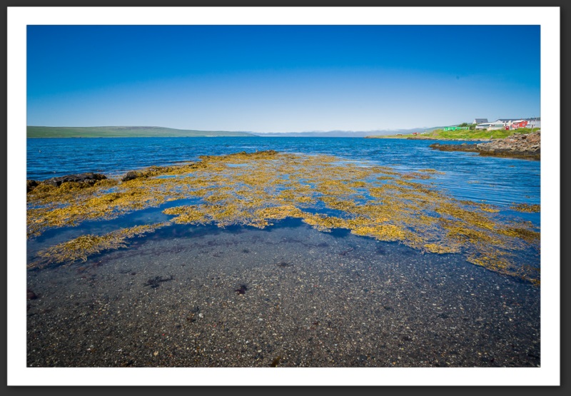 Islande Reykjavik Akureyri Eyjafjallajökull geyser volcan glacier 