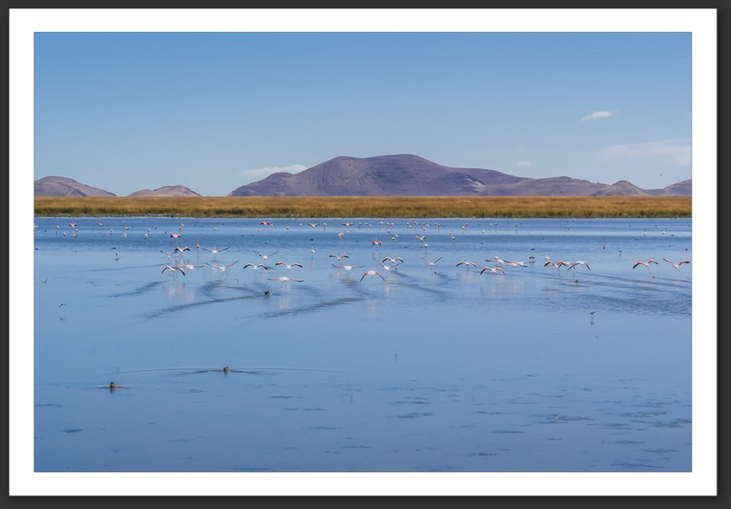 Paysage Bolivie Amérique du Sud